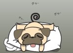 Sleepypug.jpg