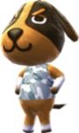 100px-Butch_-_Animal_Crossing_New_Leaf.jpg