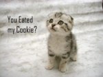 1164692179-youeatedcookie.jpg