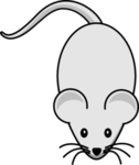 light-grey-mouse-md.png