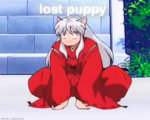 lost-puppy-inuyasha-35348752-500-400.jpg