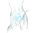 female-iliac-crest.jpg