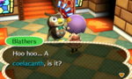 Blathers 2.JPG