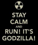 stay-calm-and-run-it-s-godzilla.jpg