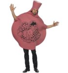 Mens_Whoopie_Cushion_Fancy_Dress_Costume_500_1_370_397_76.jpg