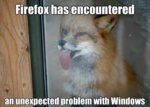 funny-animal-joke.jpg