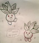 Oddish.jpg