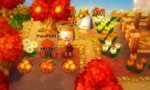 Pumpkin patch!.jpg