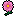 cosmos-pink.gif