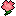 carnation-pink.gif