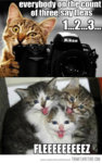 funny-cats-camera-cheese.jpg