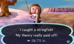 Stringfish Catch.jpg