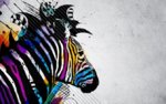 zebra-background-wallpaper-5.jpg