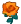 orange rose.png