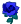 blue rose.png