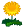 sunflower.png