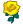 yellow rose.png