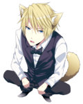 Shizuo-3-durarara-34319741-500-625.jpg