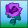 purplerose.png