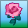 pinkrose.png