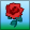 redrose.png