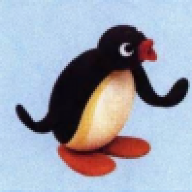 Noot