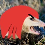 Elbows the Echidna