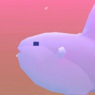 Adyingsunfish