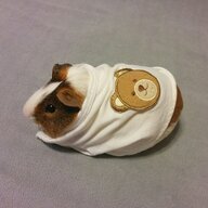 TeddyBearHamster