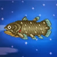 coelacanthsrock