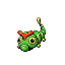 caterpie