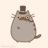 Pusheen The Cat